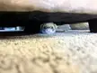 Looking under the bed, I found him. Isn't he beautiful? What do you think?