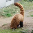 Looks like he didnt found anything yet