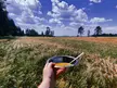 Lunch break in my field