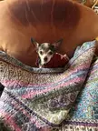 Lydia is dressed for the cold, tucked in, and ready to watch a scary movie!