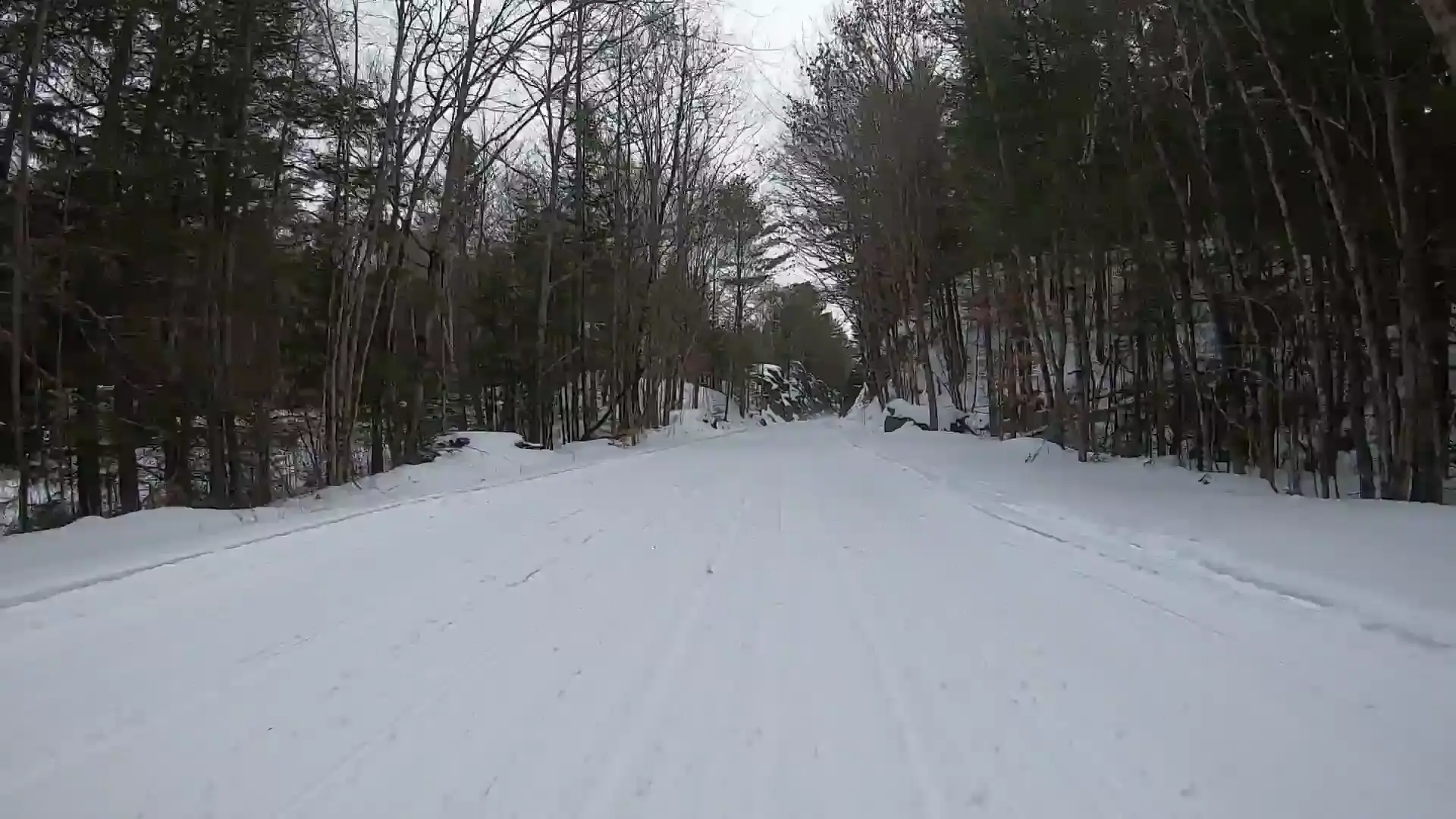 Lynx I almost hit snowmobiling