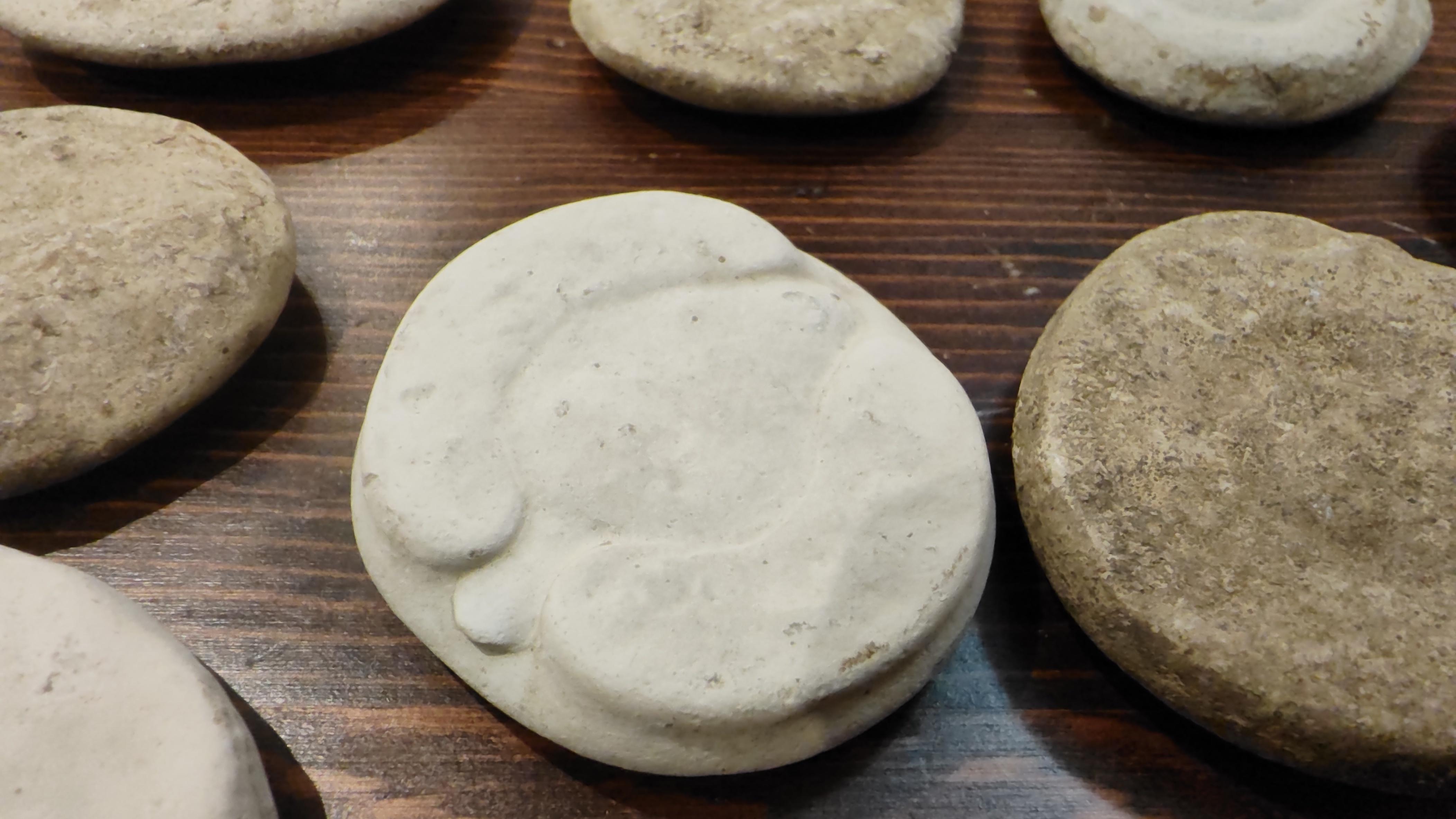 Scrolller Rocks Help identifying these circular artifacts or rocks? | Scrolller