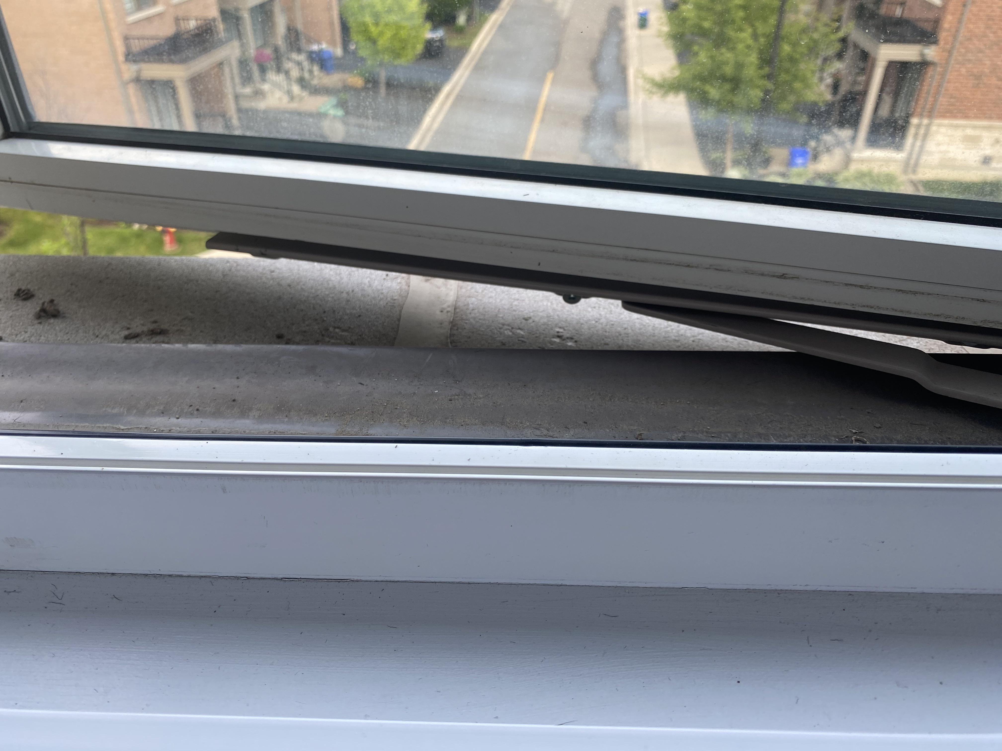 Window sill bulge | Scrolller
