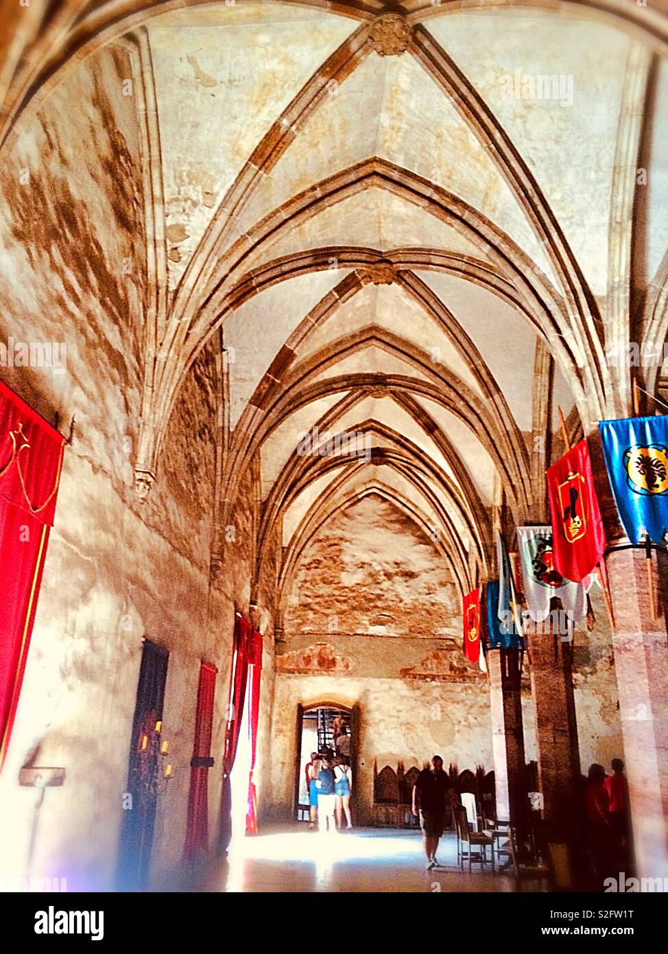 Vaulted ceilings 