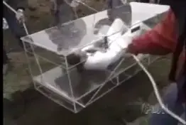 Magician's stunt gone horribly wrong, he survived though, miraculously