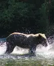 Making a Splash!