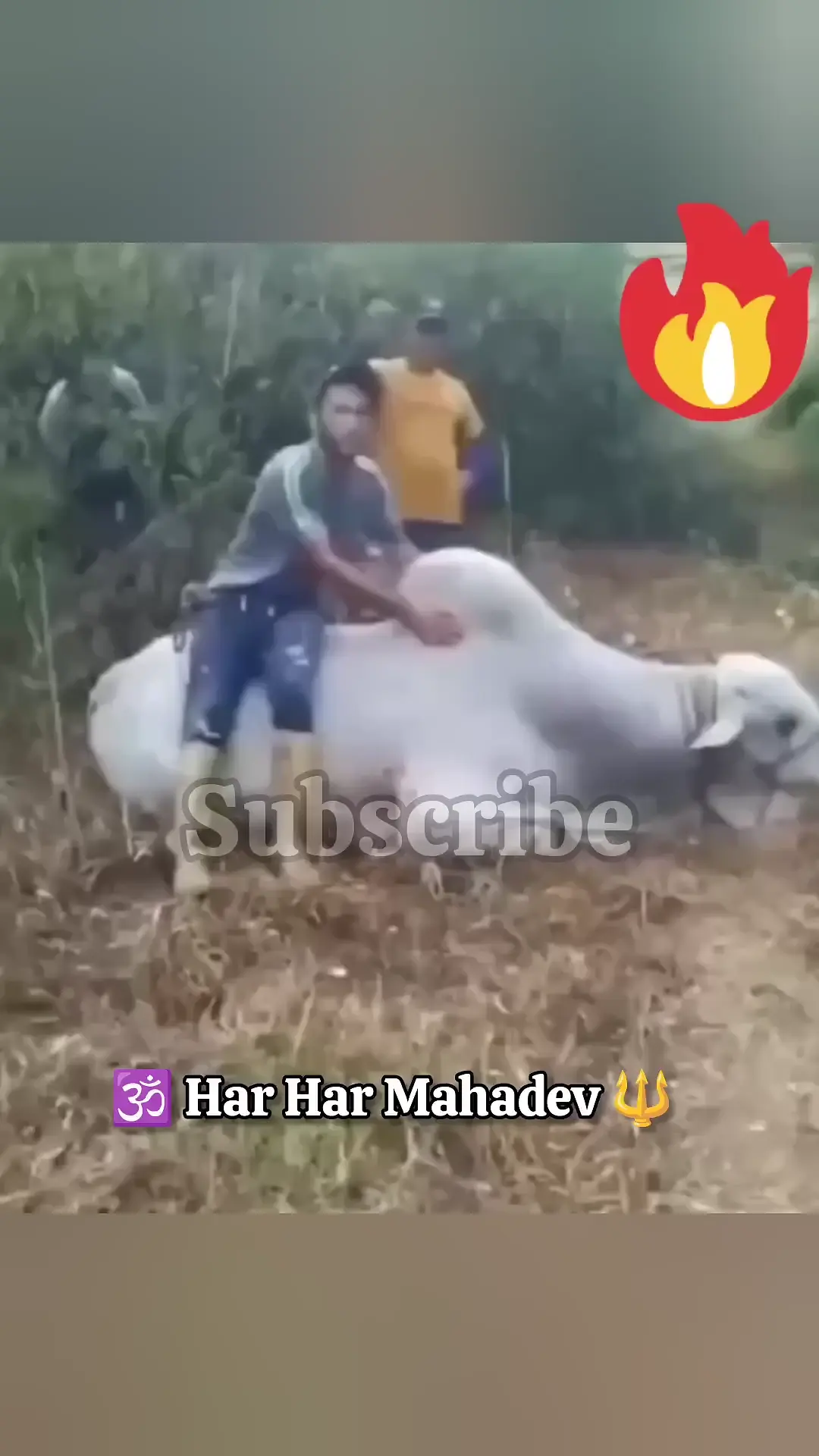 Maybe Maybe Maybe 