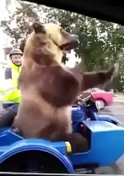 Meanwhile in Russia