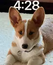 Meet Sir Leroy Jenkins