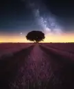 Milky Way over the beautiful lavender fields in Brihuega, Spain IG: @joseramosphotography