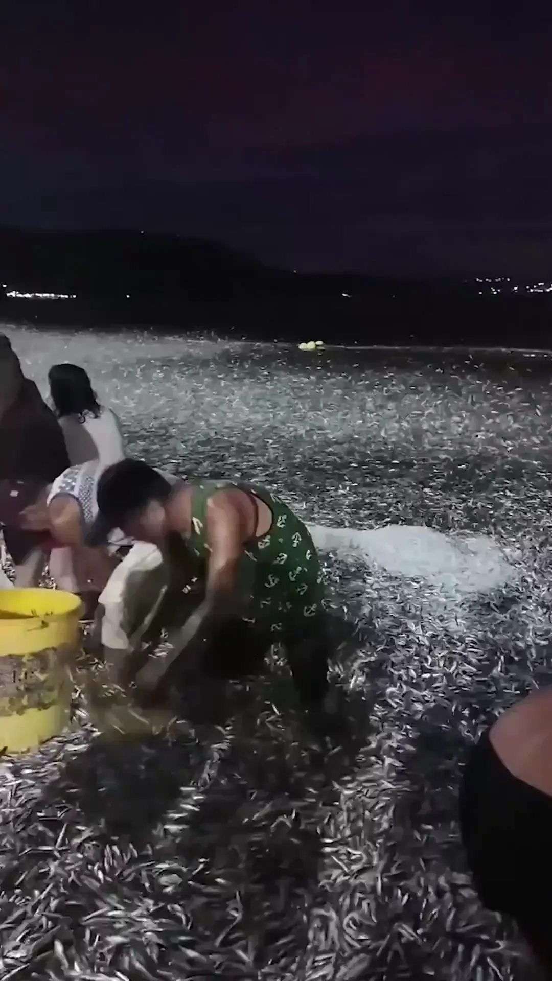 Millions of sardines mysteriously washed up on the shore in the Philippines, turning the coastline silver for miles