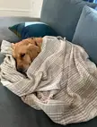 Miss my cozy girl every day 