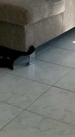 MISSION ABORT