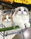 Mom and baby?🤣