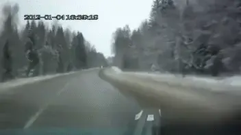 Moose fixes a broken headlight during a car accident!