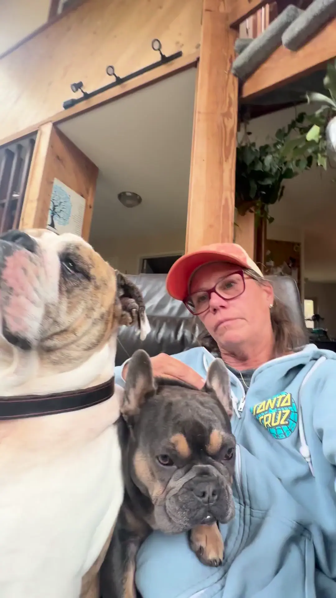Morning pile of bulldogs 