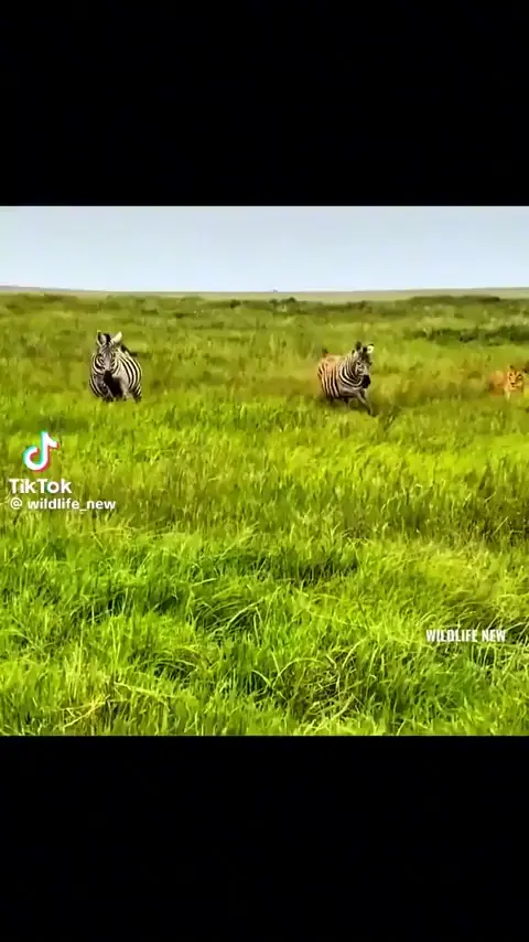 HardcoreNature