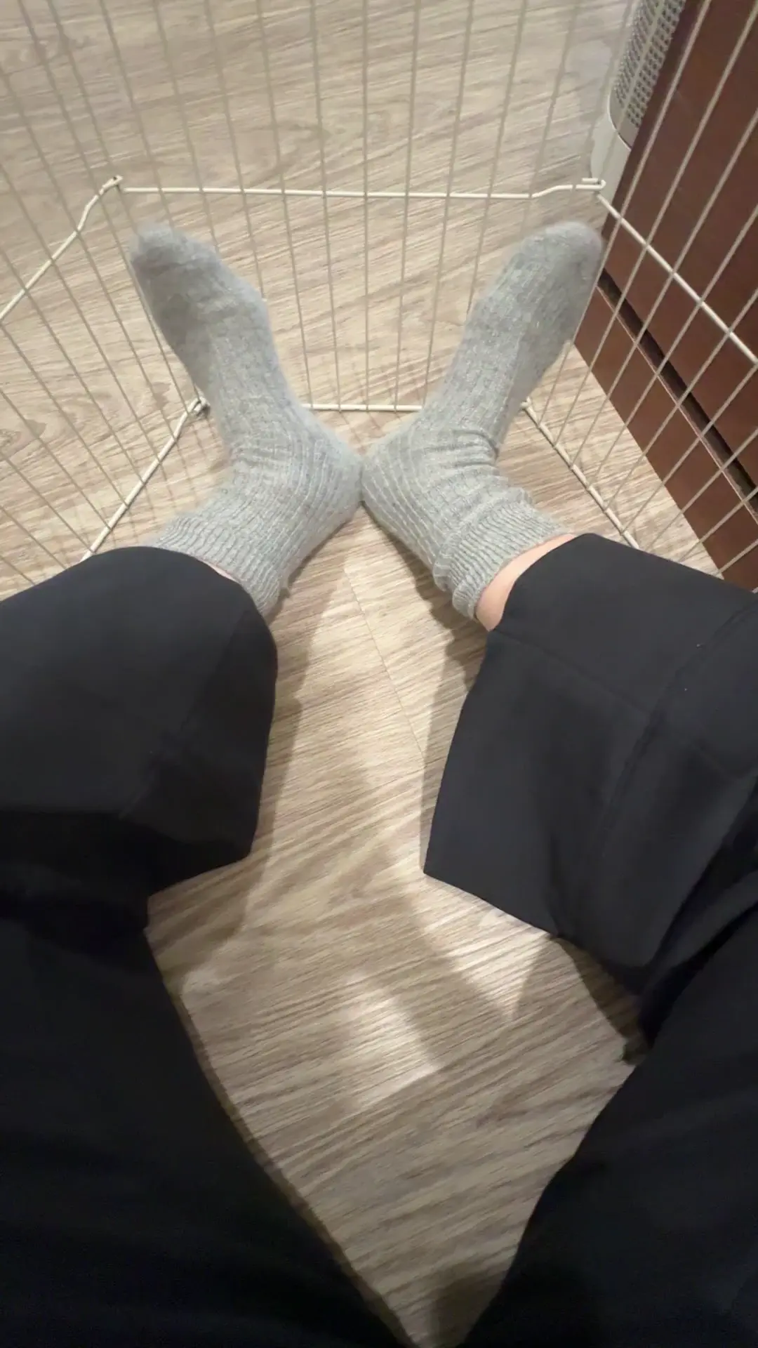 Mouse in the pants