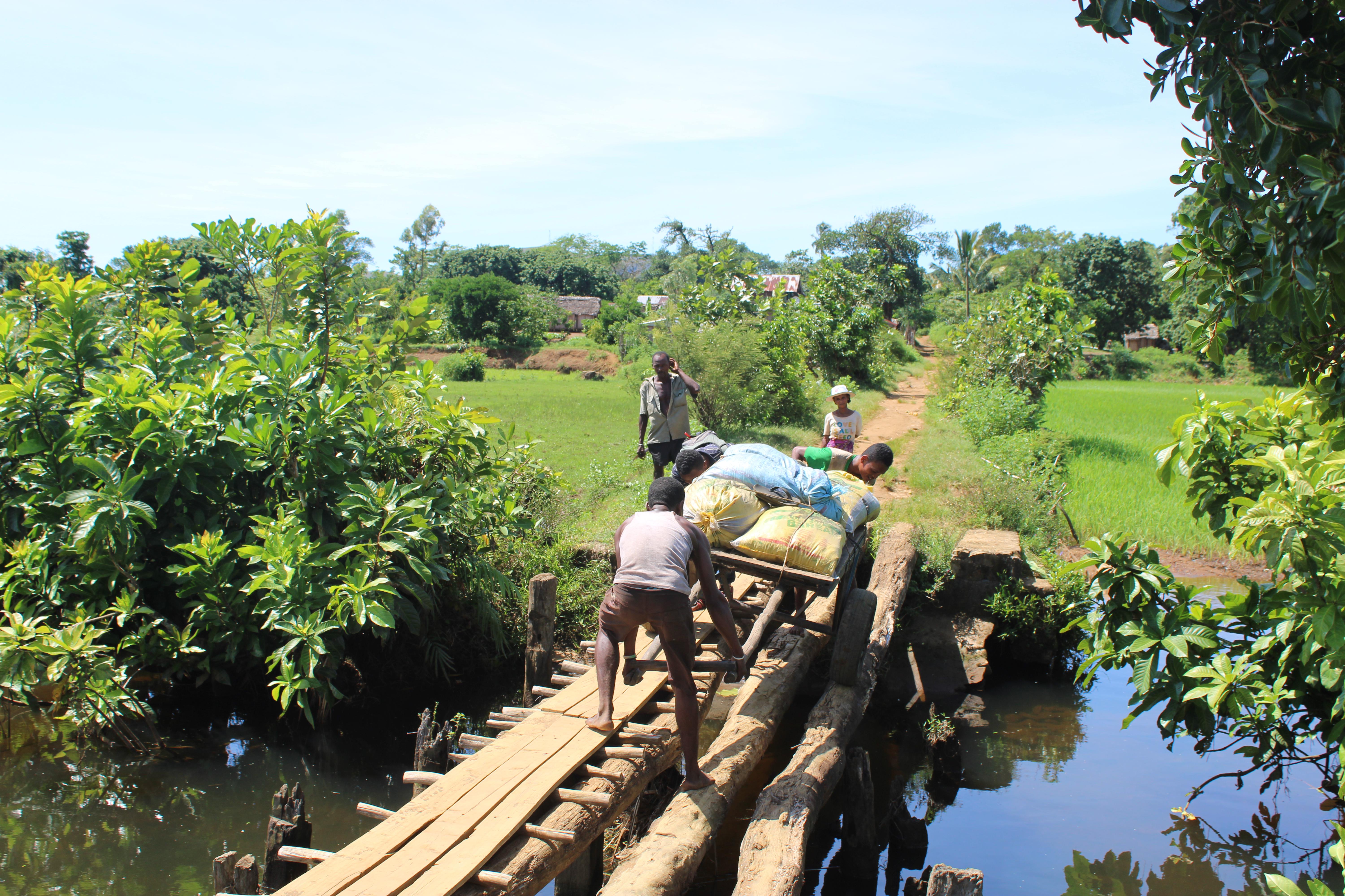 Compost Bridge Moving bags of compost across a makeshift bridge in the south east ...