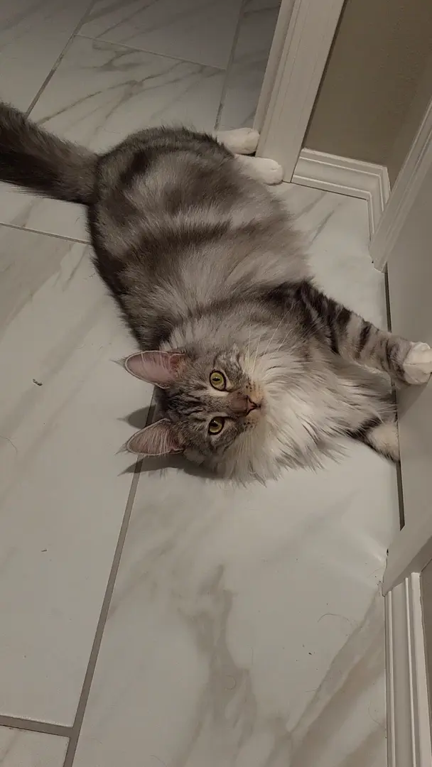 Moving foot = startling