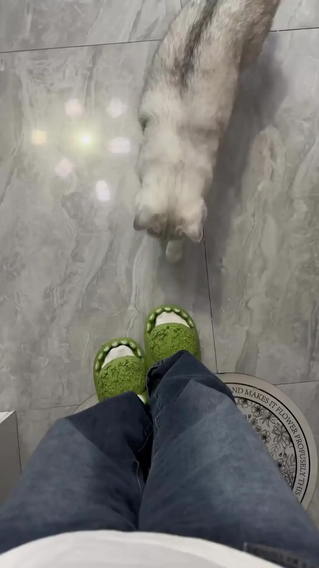 Multipurpose flipflop