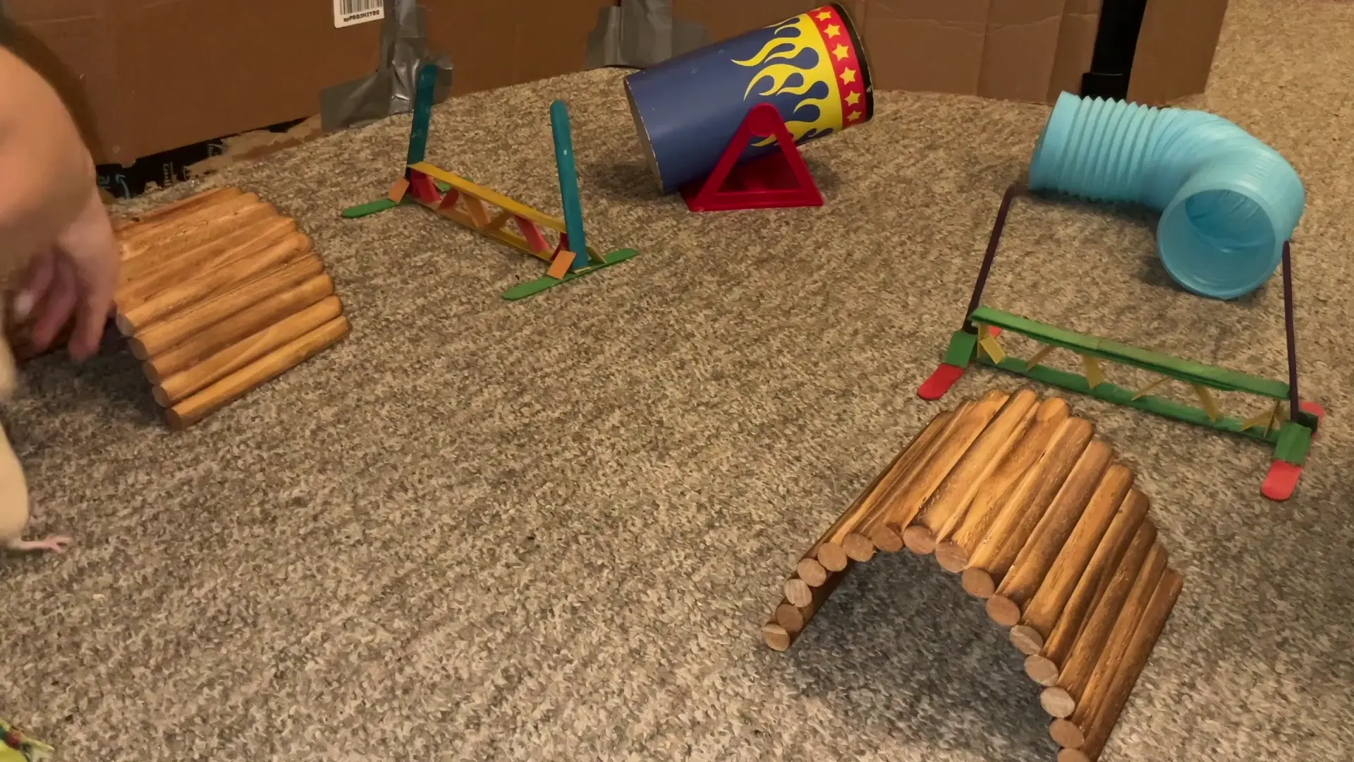 My amazing pet rat Popcorn practicing some agility!