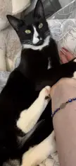 My baby being cute as always.