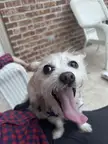 My baby girl is happy it’s Hump Day!