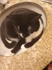 My bathroom companion 