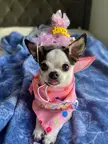 My Buggie girl! 9 years old 🎈😊🩷