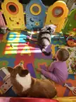 My corgi doesn’t really like the little one too much but he despises the cat, so he made his choice 😁