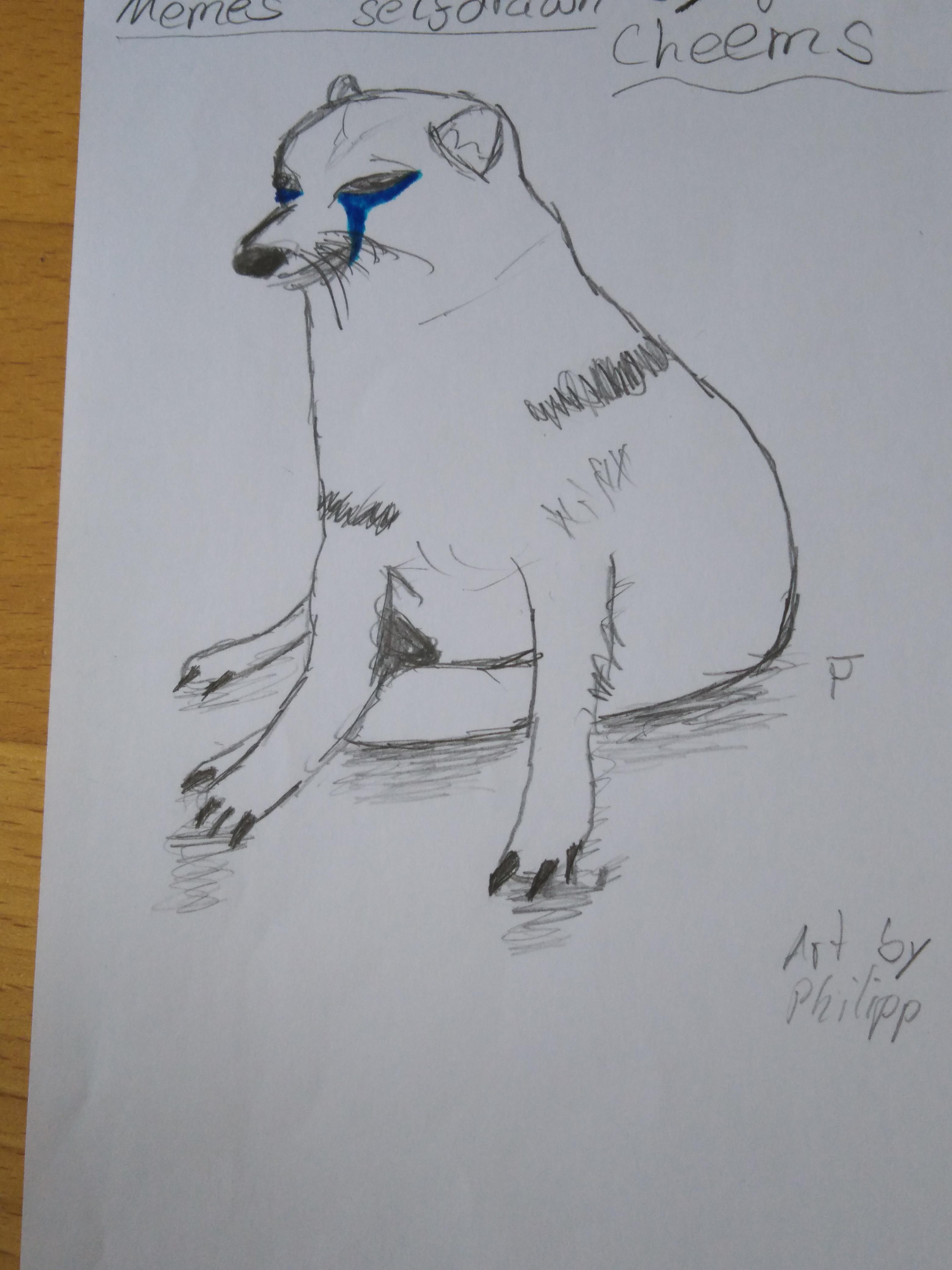 My crying cheems drawing I did in art class | Scrolller