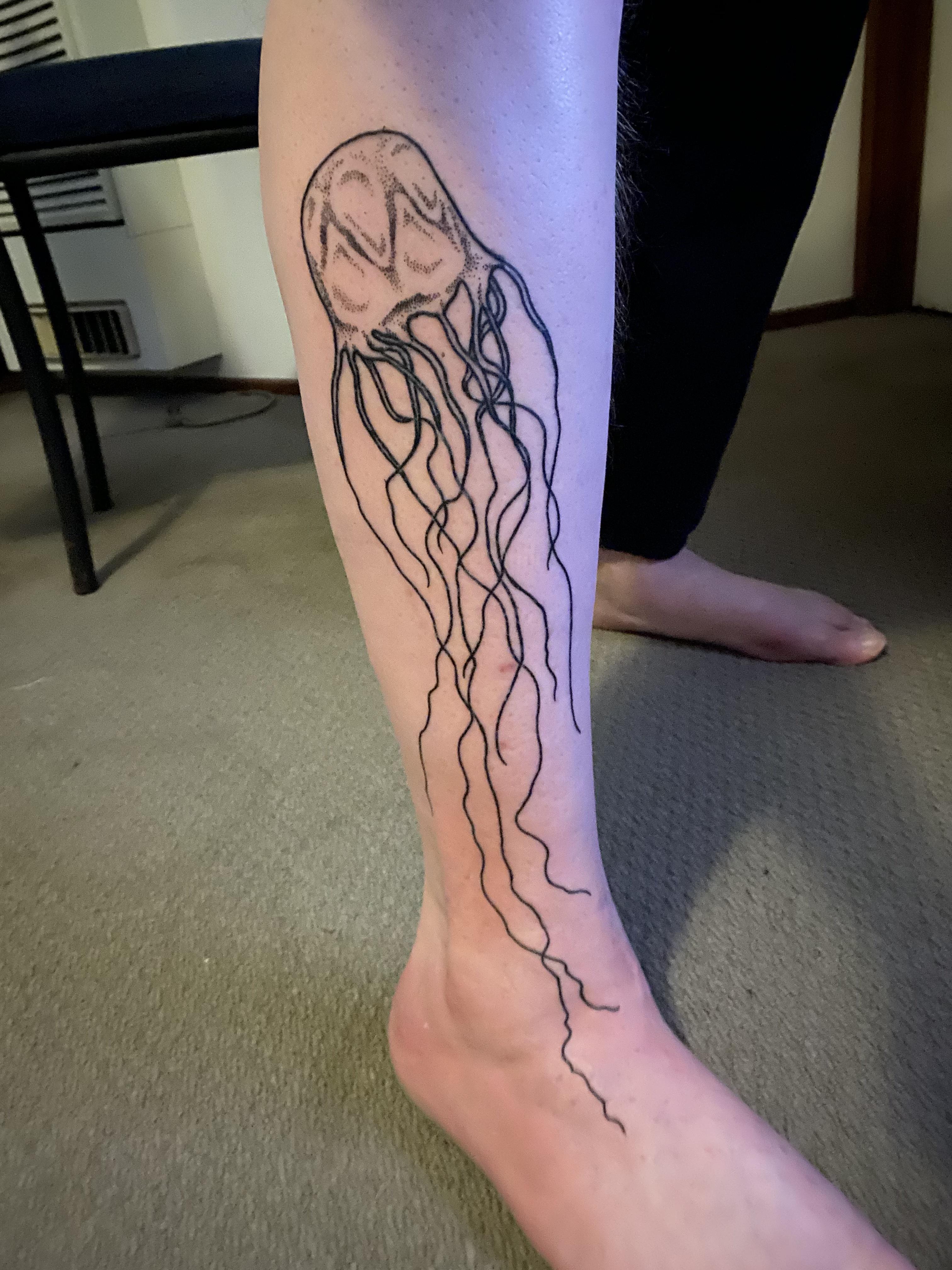jellyfish
