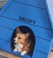 My dad made a full size snoopy Christmas display. But Ryan thinks its his 
