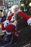 My faithful old girl wanted to see Santa