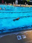 My girl got to swim in a pool for the first time today. Took a few minutes to convince her to jump in, but once she did there was no stopping her. Must have fetched her ball at least 50 times.