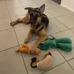 My girl Jedda with her Christmas present stash 🎁🎄