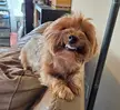 My smiling cutie