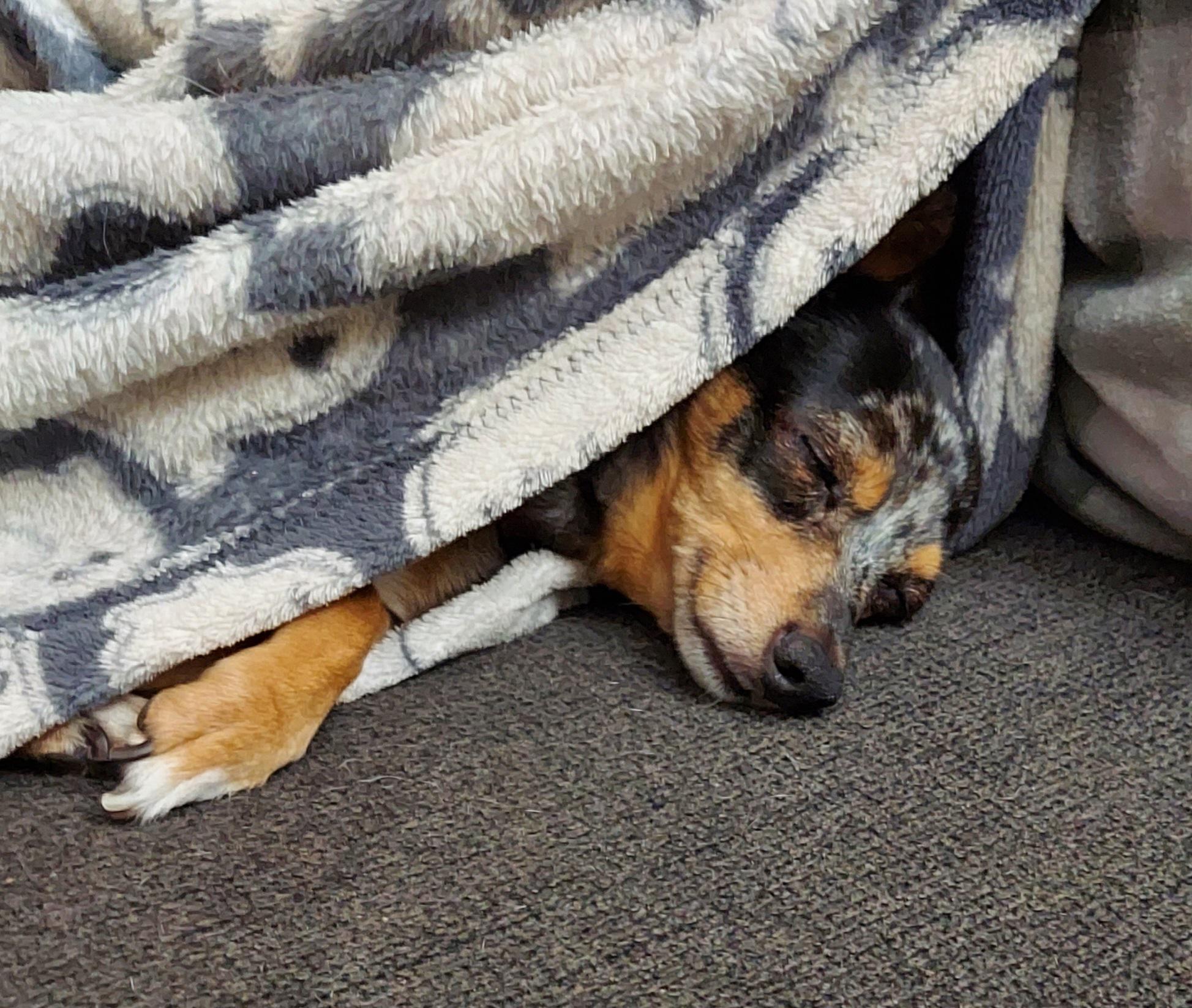 My happy sleeping girl.