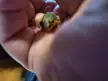 My new friend
