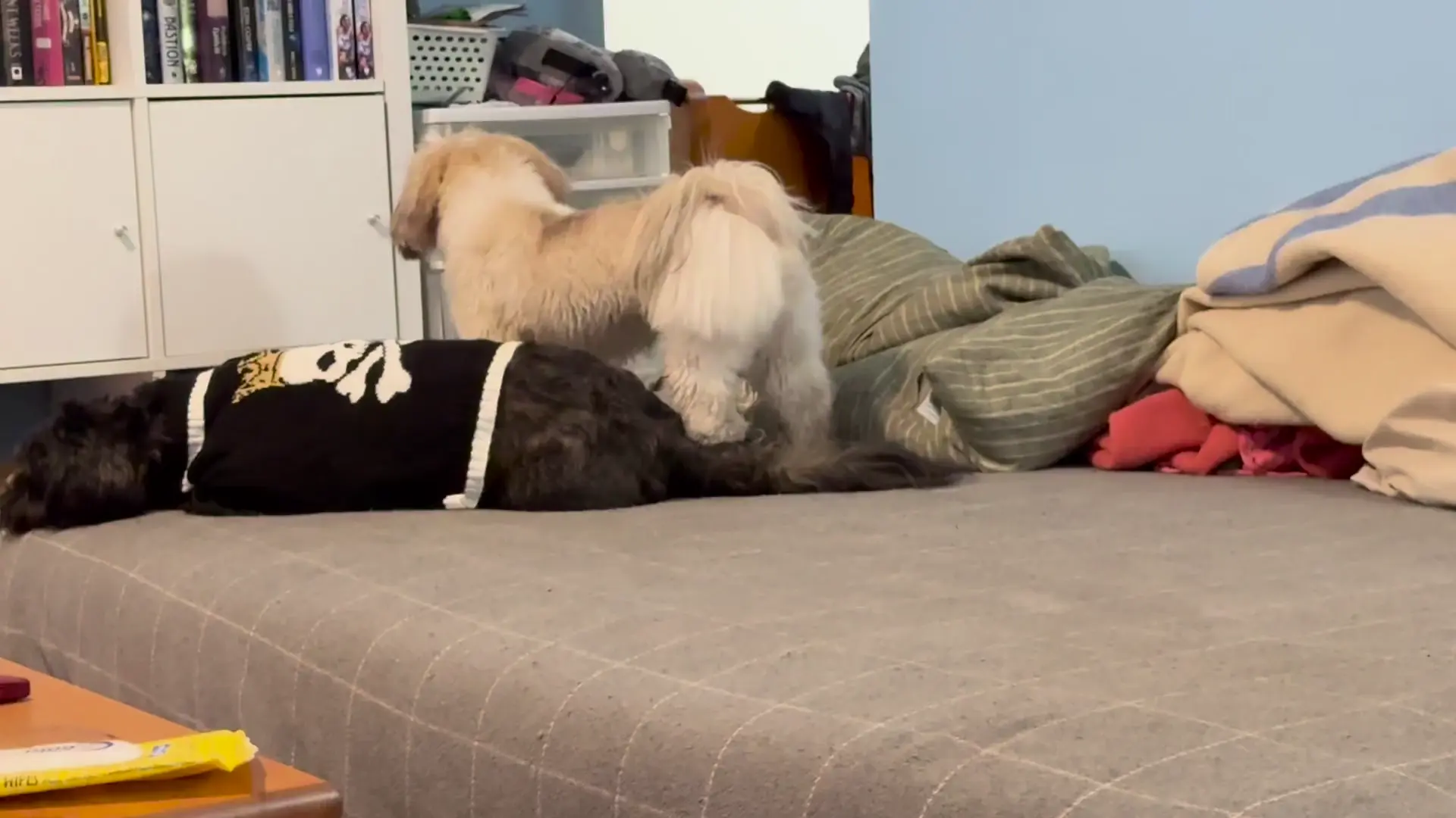 My two, in a nutshell…