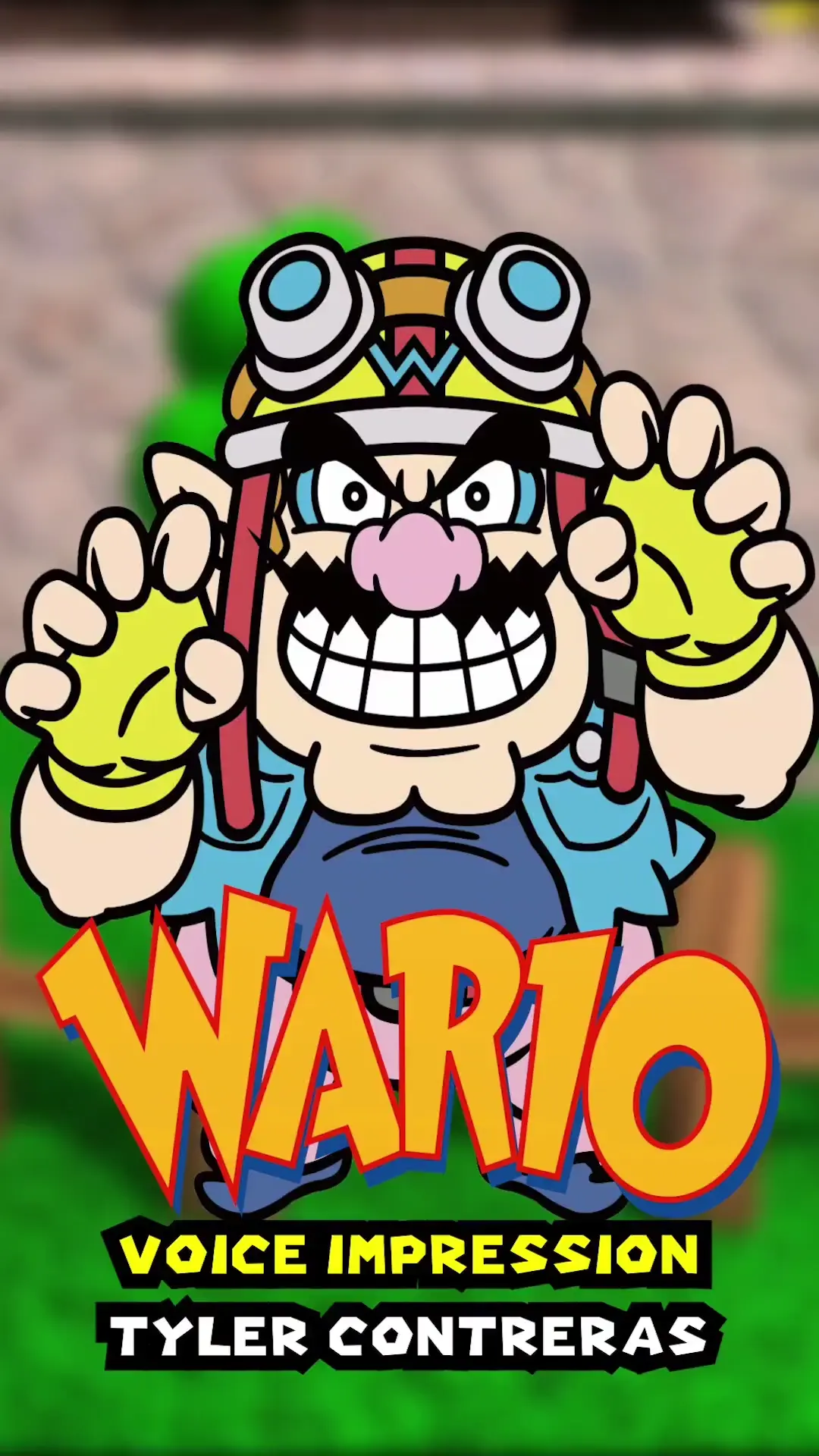 My Wario Impression for Super Mario 64 DS
