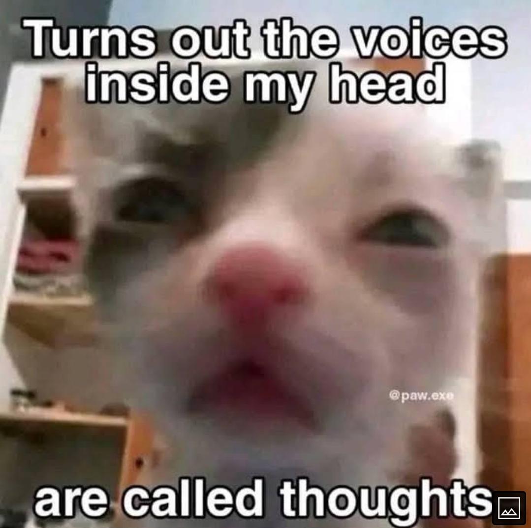 Drugscirclejerk dank memes featuring a man with glasses, a cat, and an anime character with dark humor text