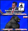 Name 3 useful things about the Garou Tribes