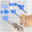 Need help getting my albino mice to use a water bottle