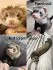 Neo’s profile pics on social media