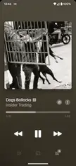 New single similar to black midi