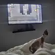Nightly routine with my skinfant