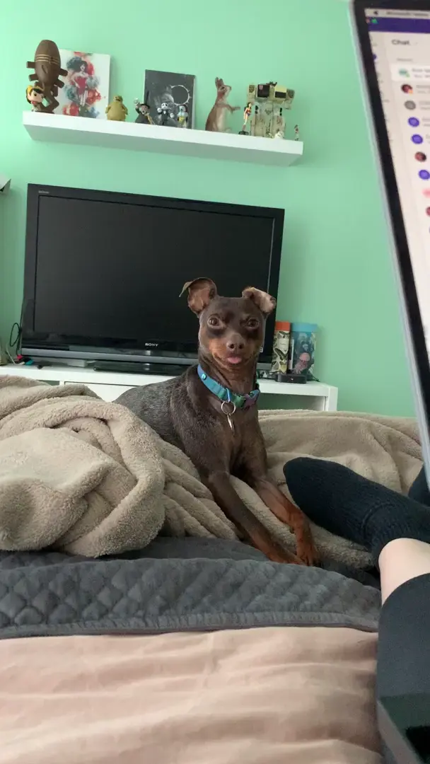 No thoughts head empty