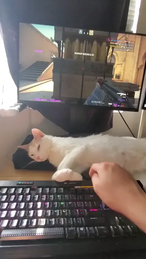 No touchy!